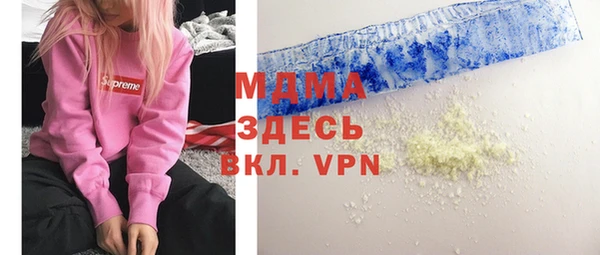 дживик Ельня