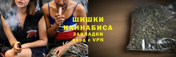МДПВ Дмитров