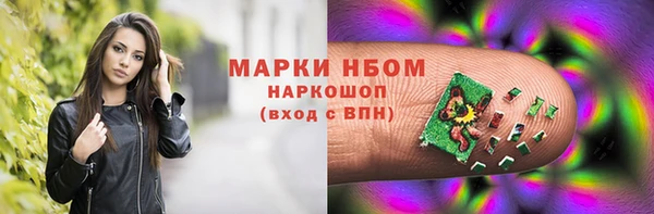 дживик Ельня