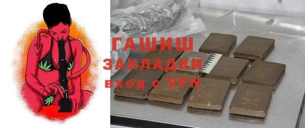 дживик Ельня
