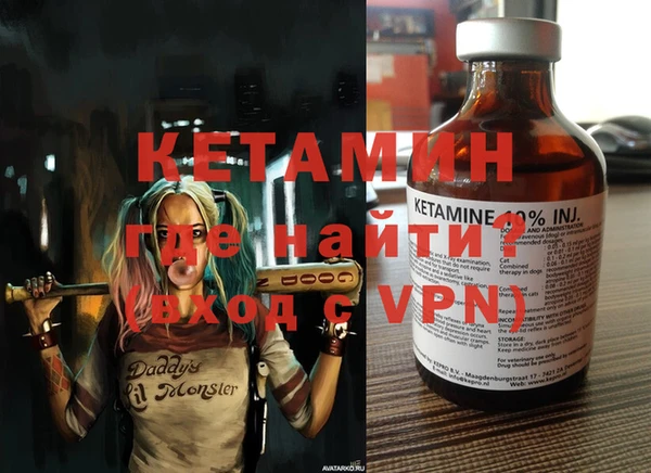 шишки Дмитриев