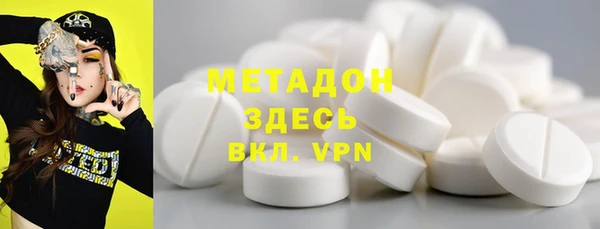 дживик Ельня