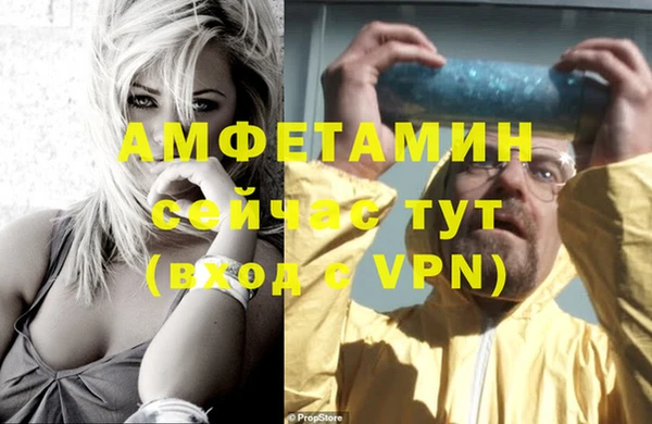 дживик Ельня