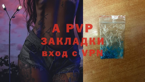 дживик Ельня