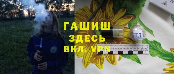 дживик Ельня