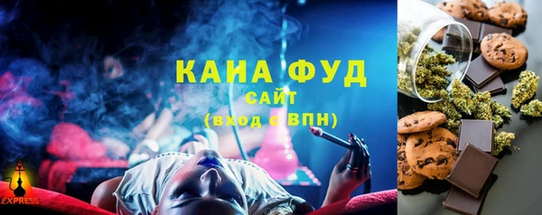 дживик Ельня