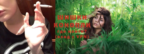 МДПВ Дмитров