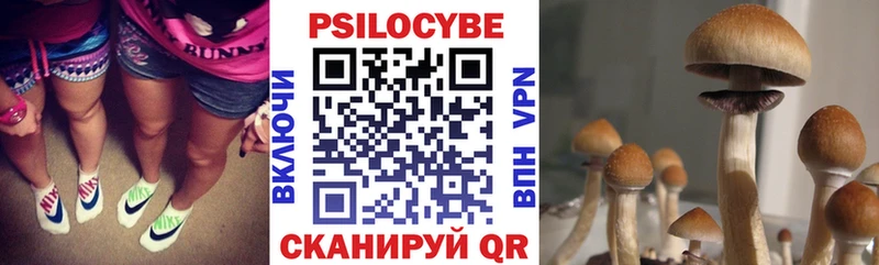 Галлюциногенные грибы GOLDEN TEACHER Шимановск